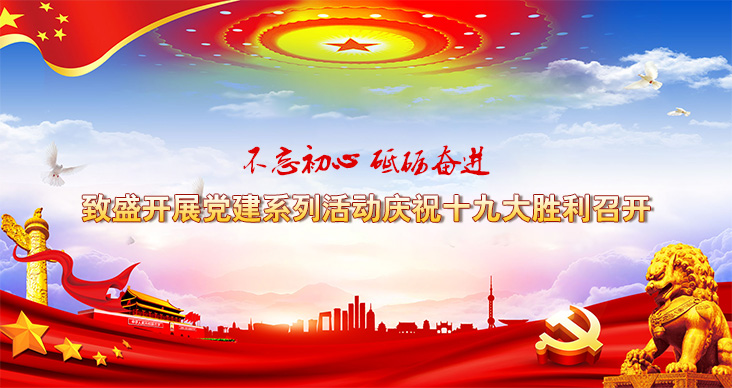 致盛开展党建系列活动庆祝十九大胜利召开