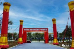 致盛集团·仙桃（国家）高新区现代服务产业园隆重开工